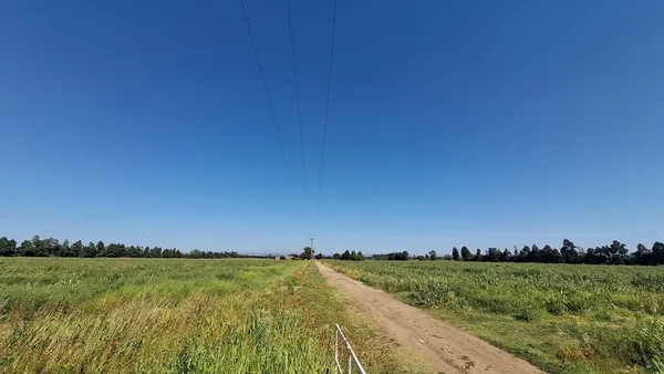 Lote en Ruta 174 100