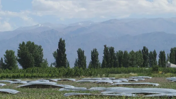 Campo en Ciro Guiñazú S/N