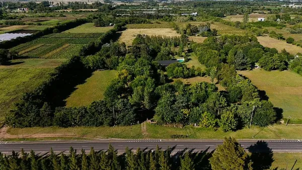 Lote en 137 Entre 628 y 629 0