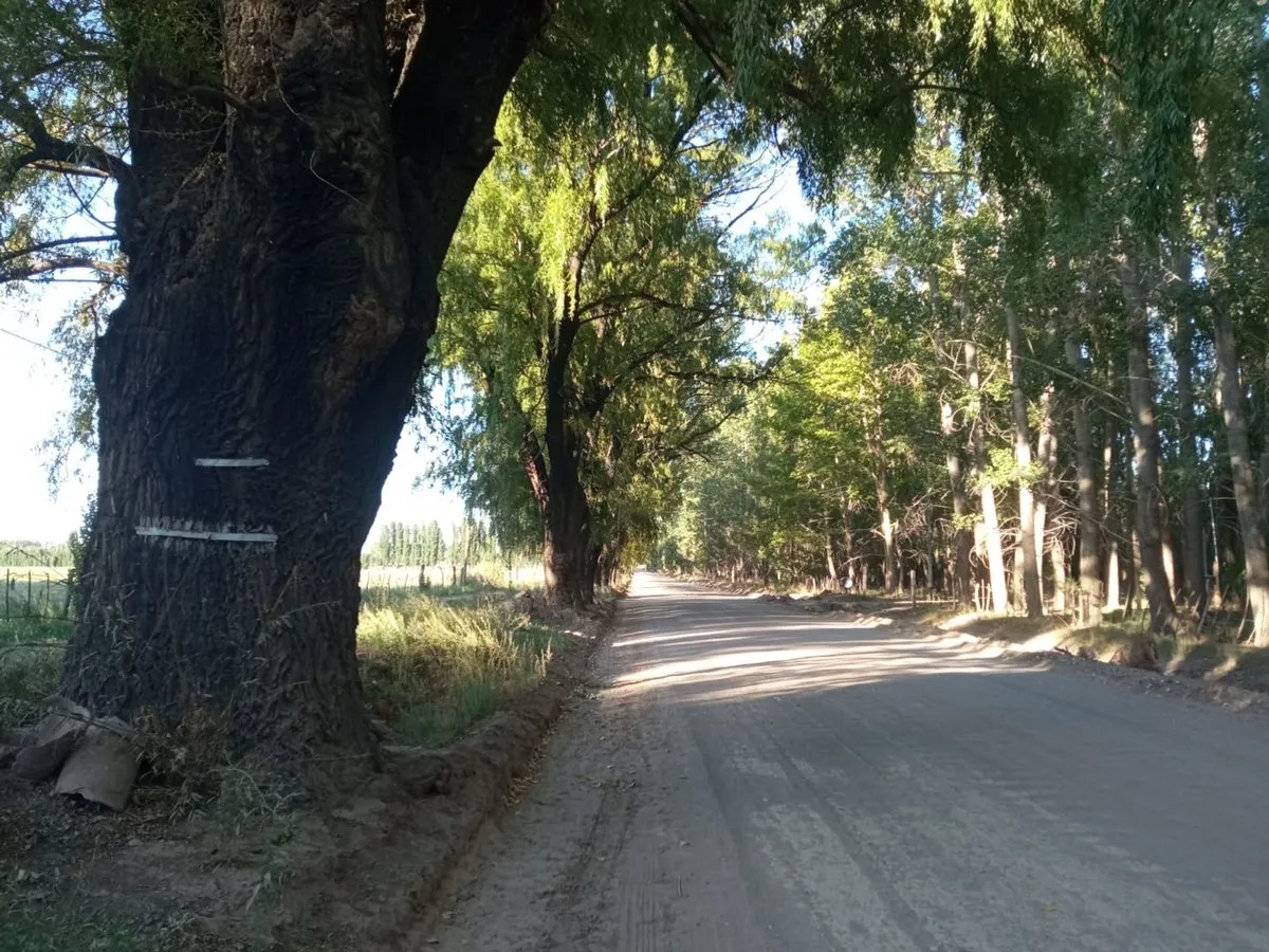 Lote en Ruta P´rovincial 52 S/n S/N