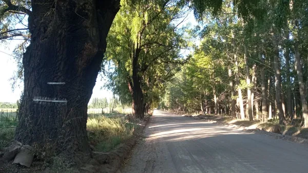 Lote en Ruta P´rovincial 52 S/n S/N