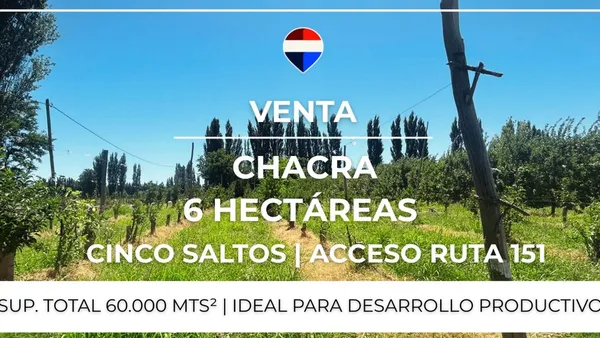 Campo en Chacra 21 B 2, Cinco Saltos, Rio Negro S/N