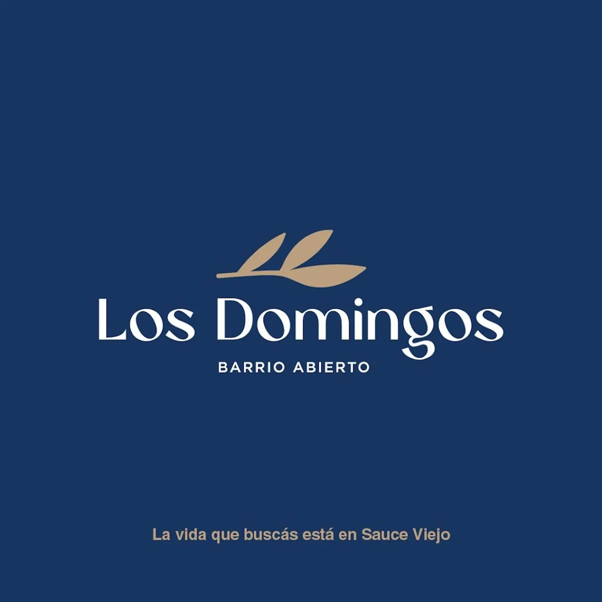 Lote en Los Domingos Barrio Abierto S/N