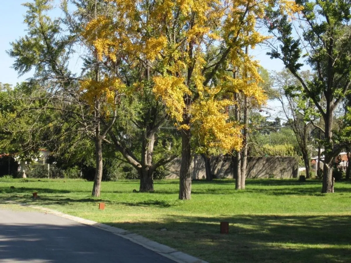 Lote en Pío Xii 3500