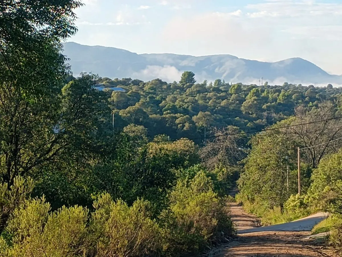 Lote en Alicia Moreu de Justo y Azucena Villaflor 0