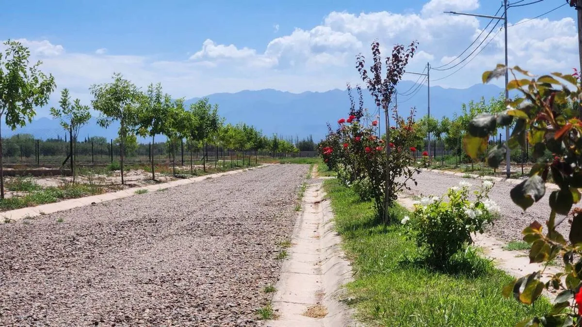Lote en Vieytes 3300