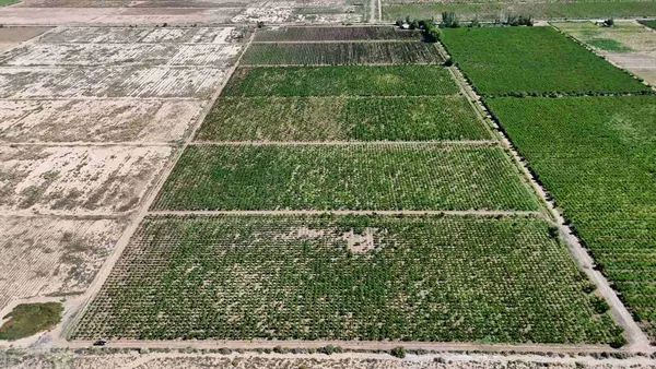 Campo en Avellaneda S/N