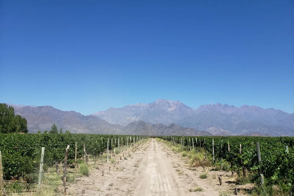 Campo en Constantini y Calle del Indio S/N