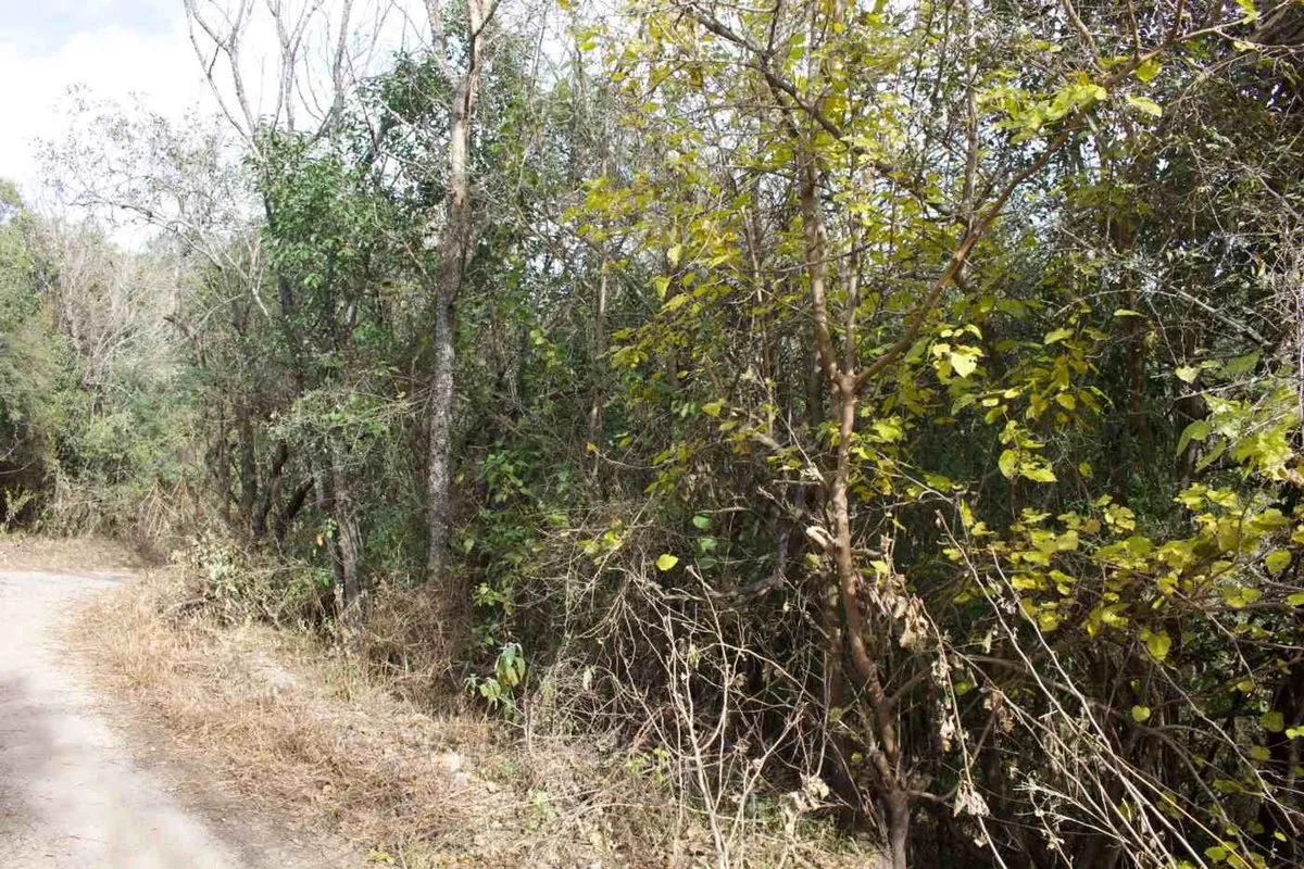 Lote en Calle Desconocida S/N