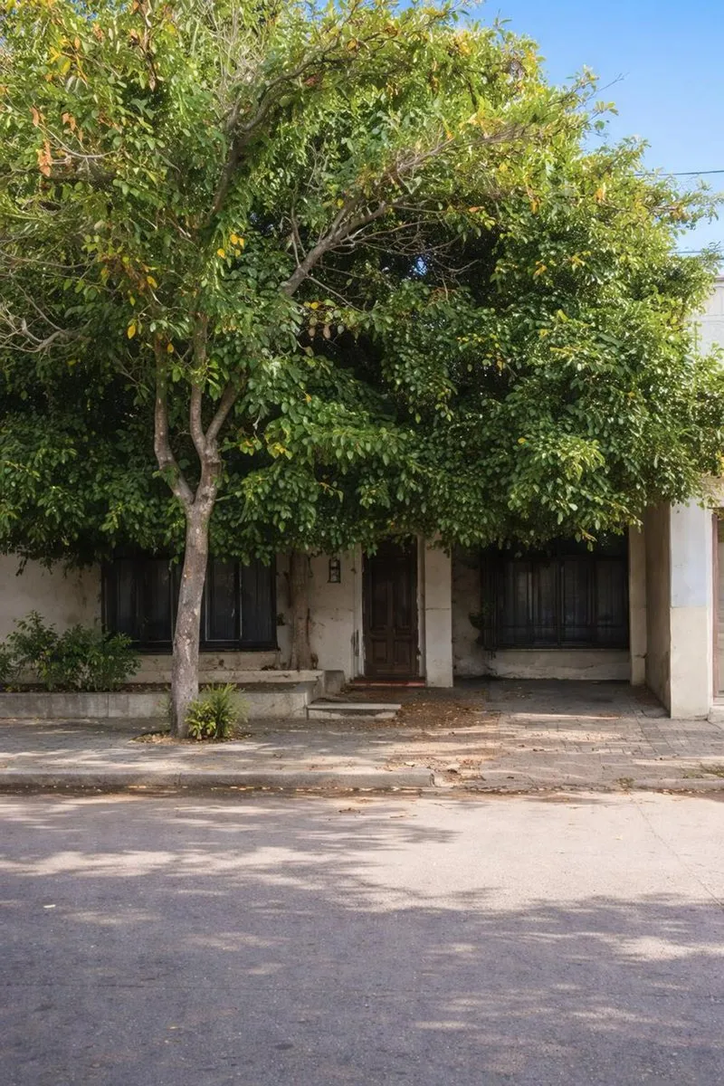 Casa en Rodriguez 300