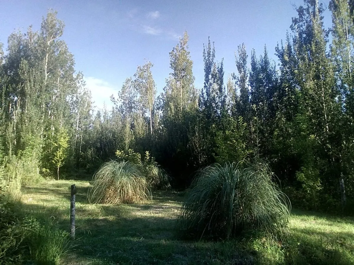 Lote en Charcas S/n Entre Av. de los Sauces y Entre Rios, Villa Yacanto, Calamuchita, Cordoba S/N