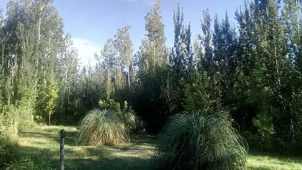 Lote en Charcas S/n Entre Av. de los Sauces y Entre Rios, Villa Yacanto, Calamuchita, Cordoba S/N