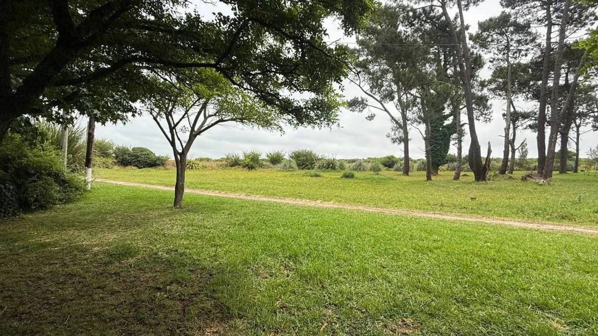 Lote en Calle Tulio 200