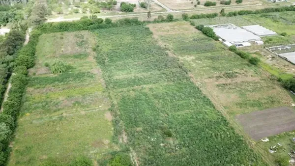 Lote en 455 Entre 154 y 156 S/N