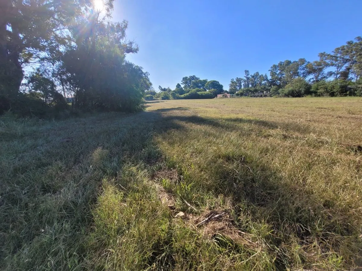 Lote en Ruta Nacional 11 4200