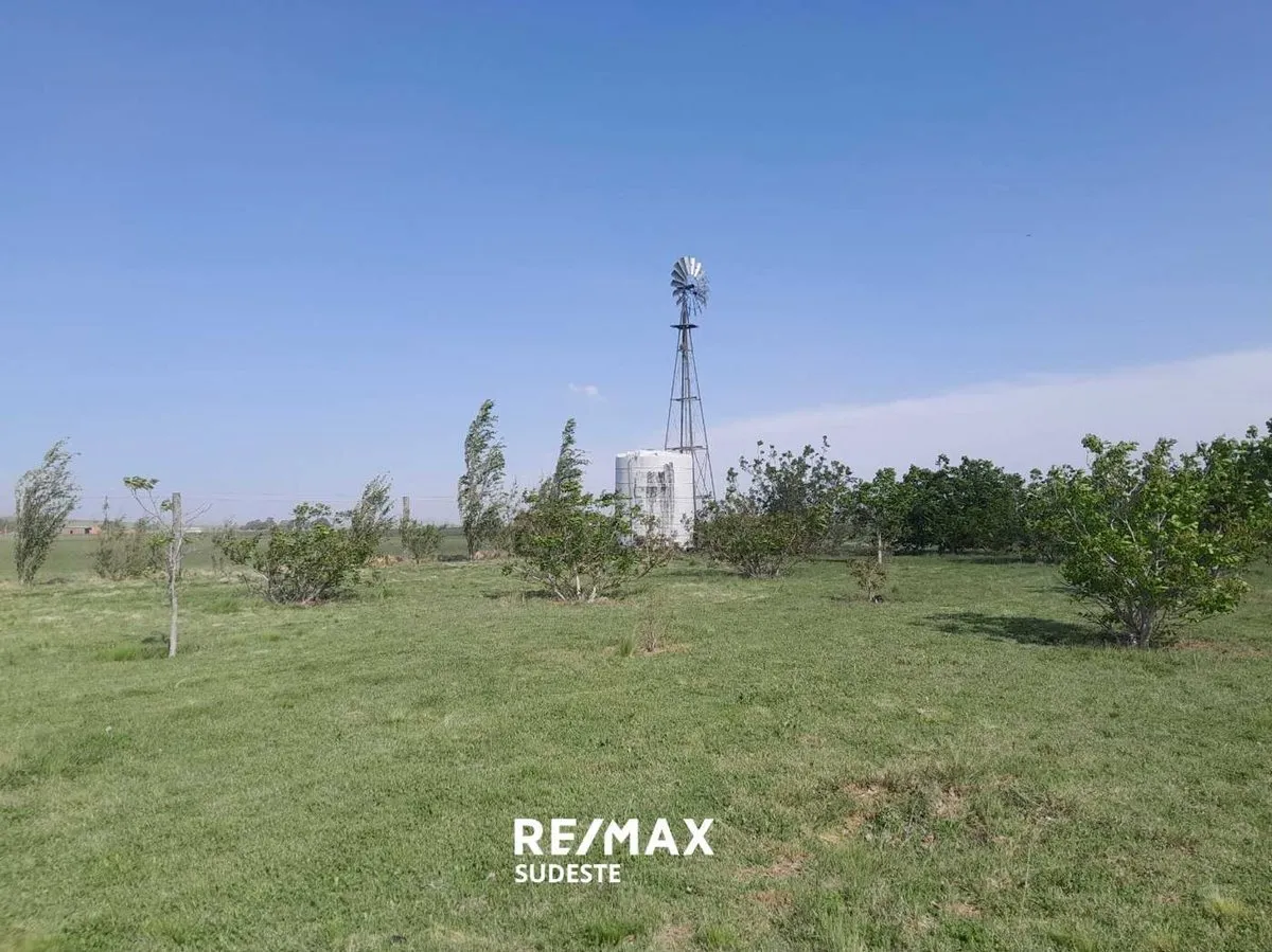 Lote en Acceso a Tornquist Por Ruta 33 S/N