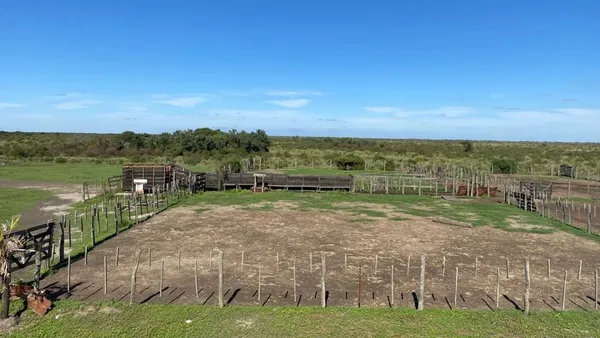 Campo en Zona Rural Golondrina 0