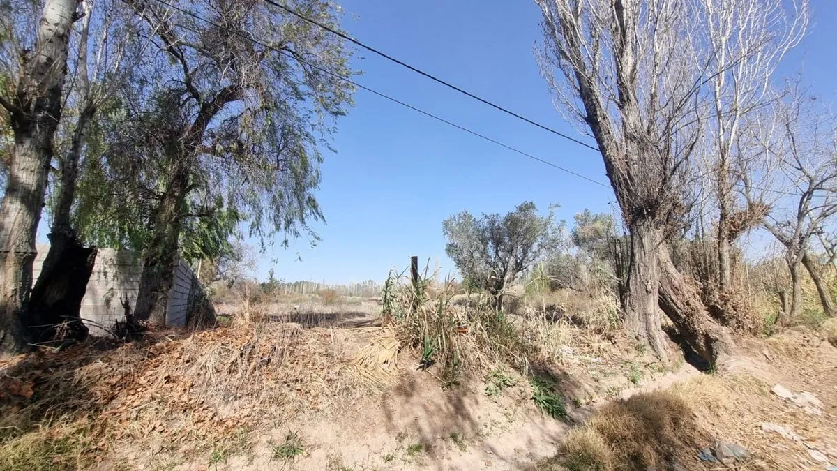 Lote en Calle Chacon S/N