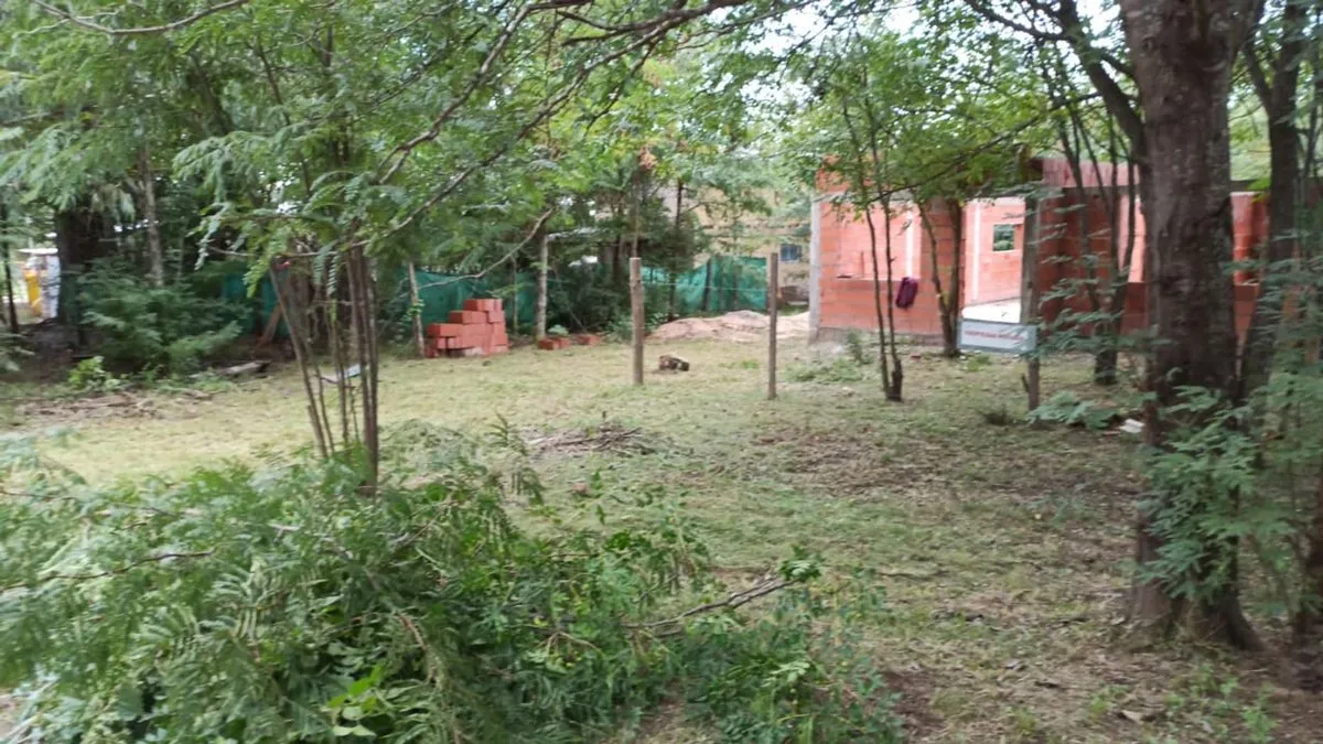 Lote en Av. Patay 500