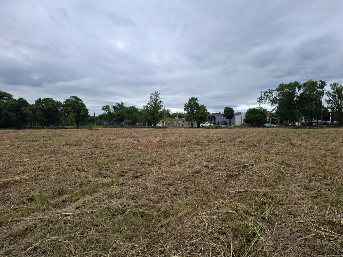 Lote en Calle de Las Cortaderas 300