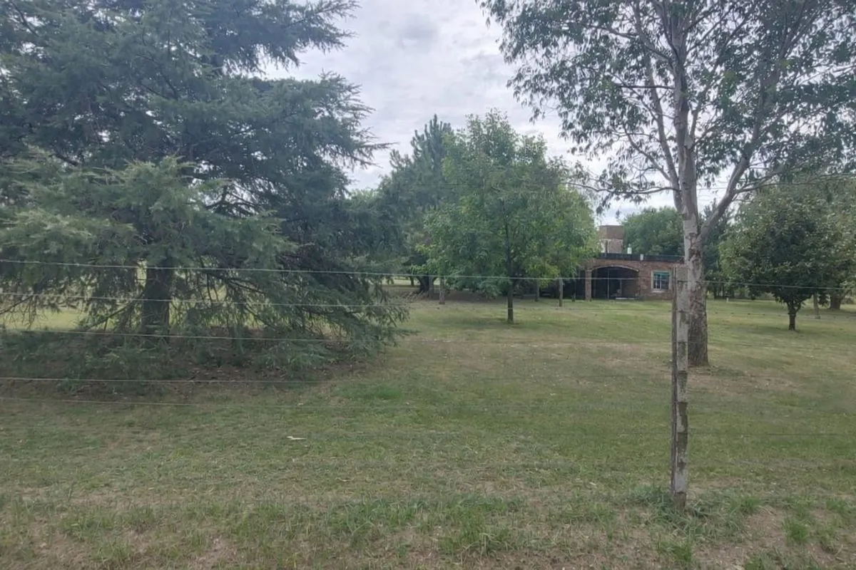Lote en Ruta Nacional 11 300