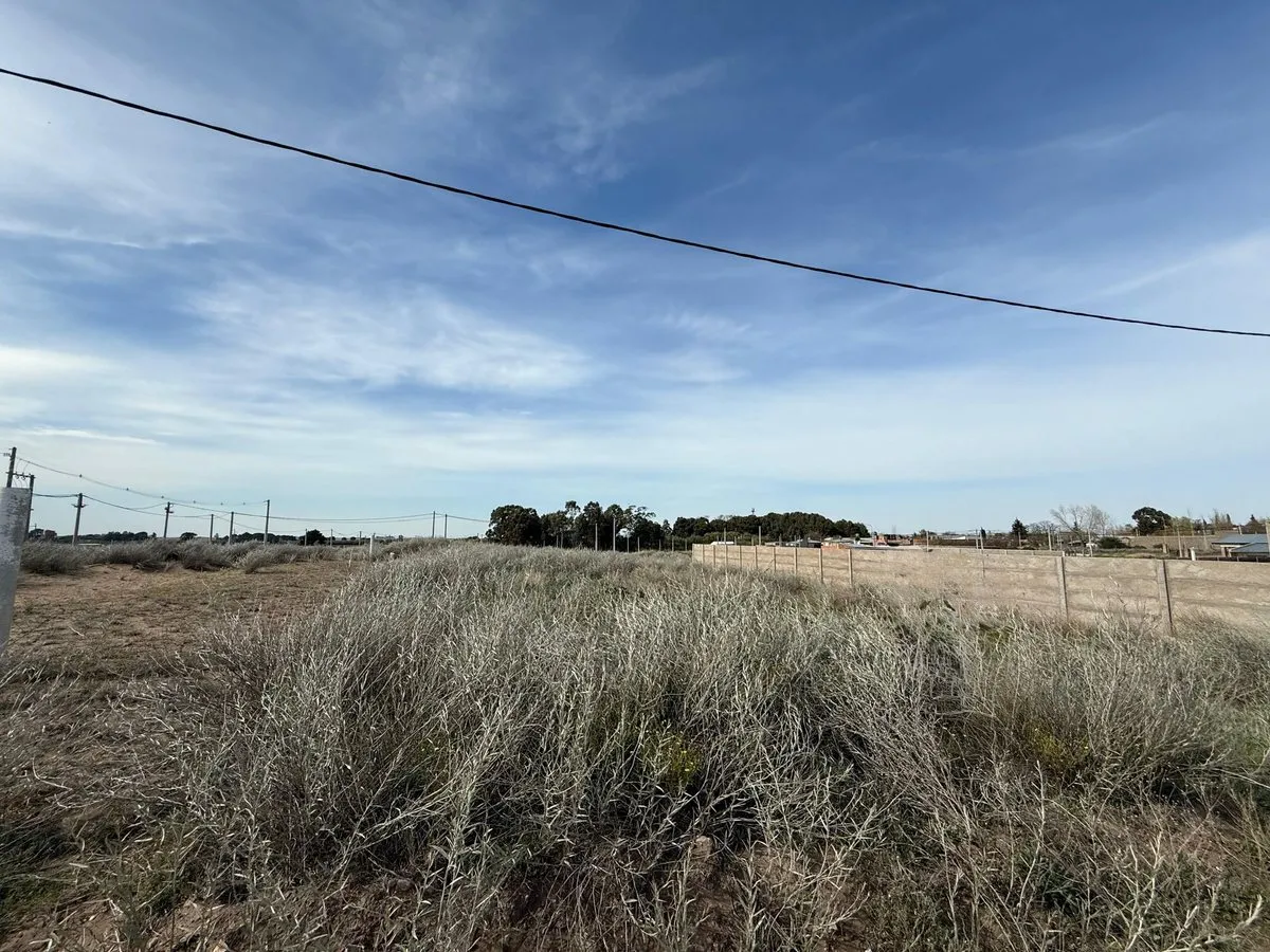 Lote en J. Mendizabal 900