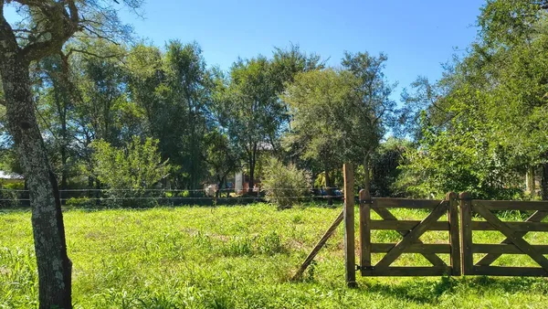 Lote en Cornelia Heinrich 1300