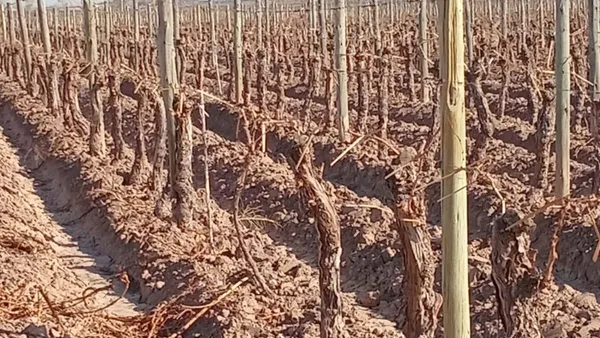 Campo en Ruta 86 Calle Pública 0
