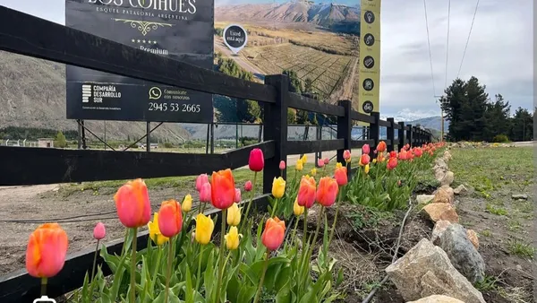 Lote en Esquel Chubut Lotes los Coihues S/N