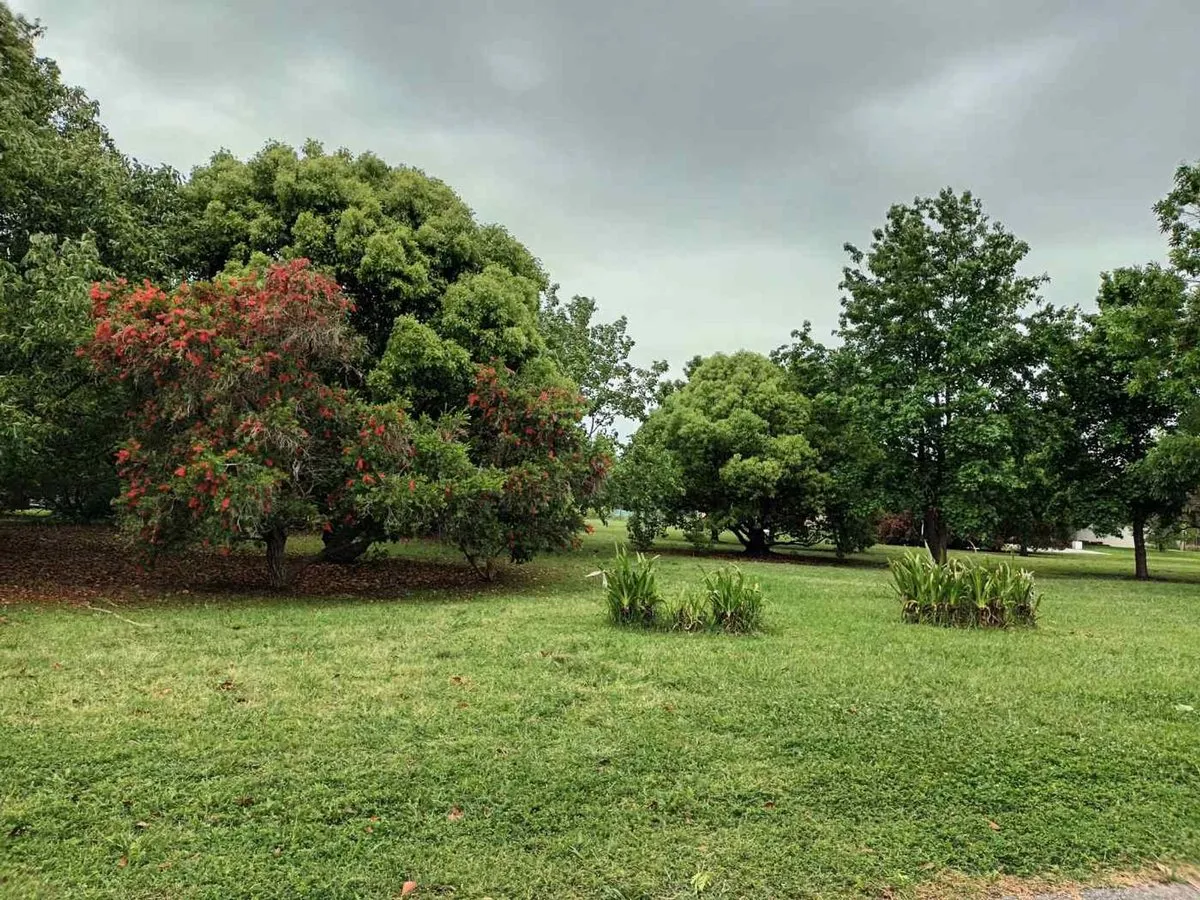 Lote en Sor Teresa 700
