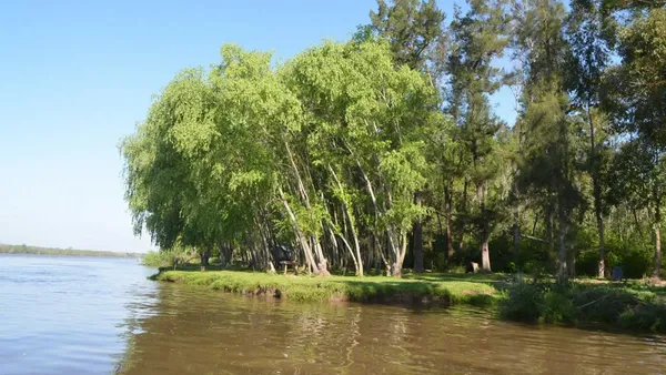 Lote en Autopista del Sol,ramal N° 9, Km. 60.5 0