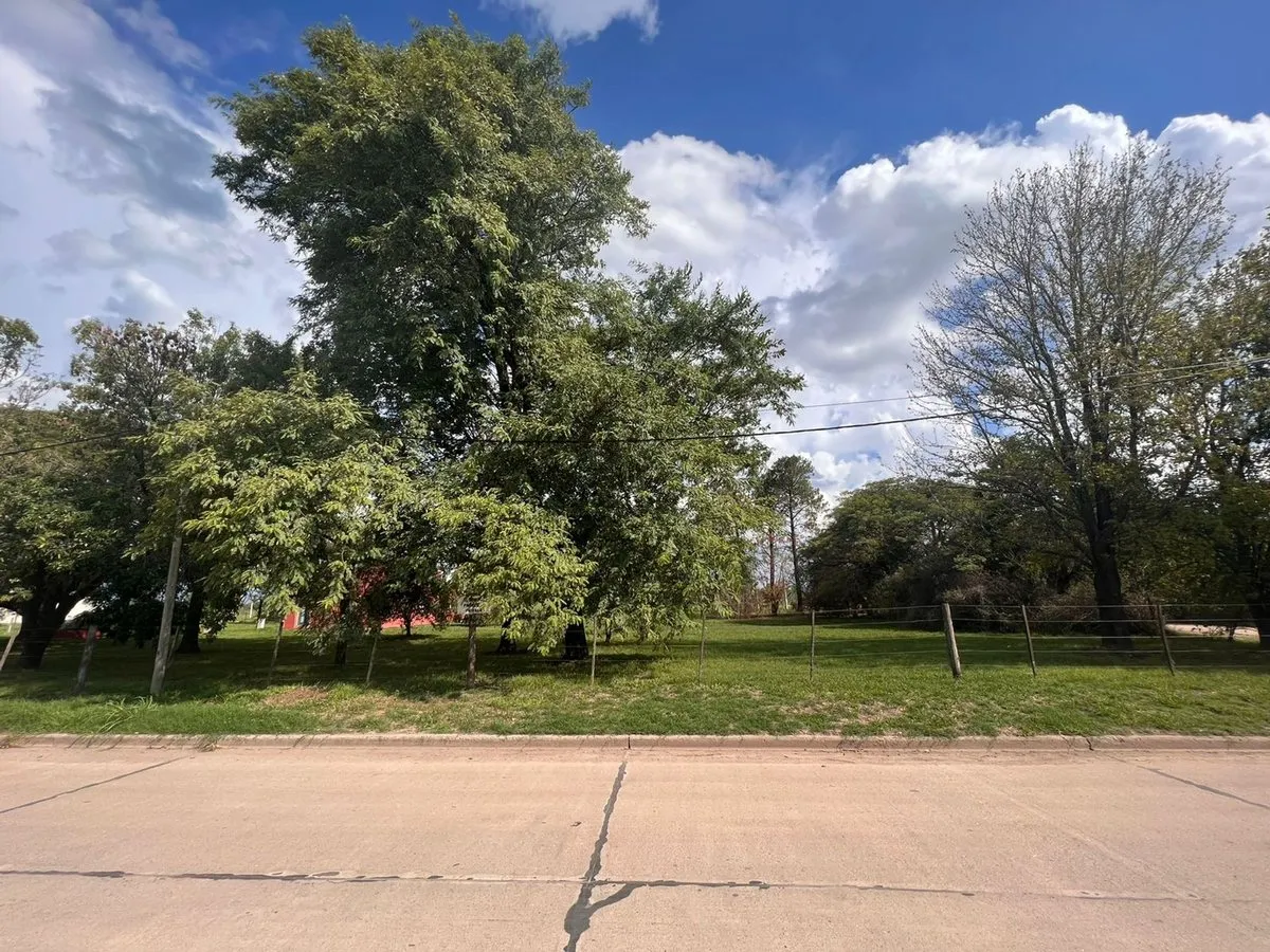 Lote en Avenida Argentina 700