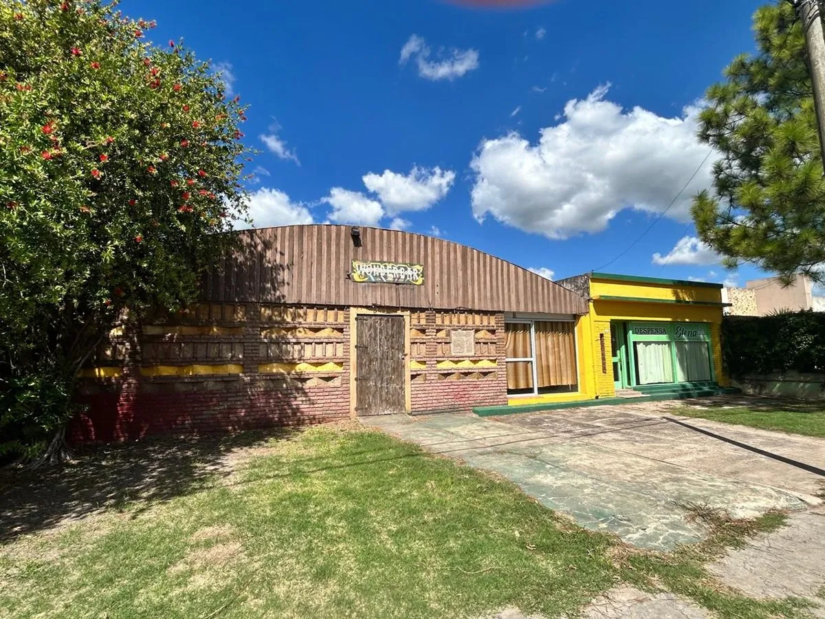 Lote en San Martín 300