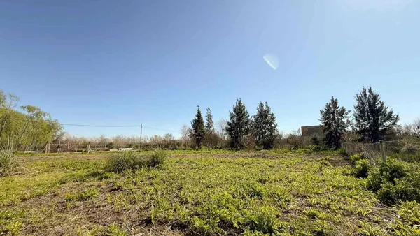 Lote en 55 0