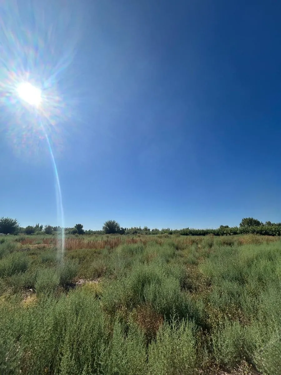 Campo en Buenos Vecinos 7600
