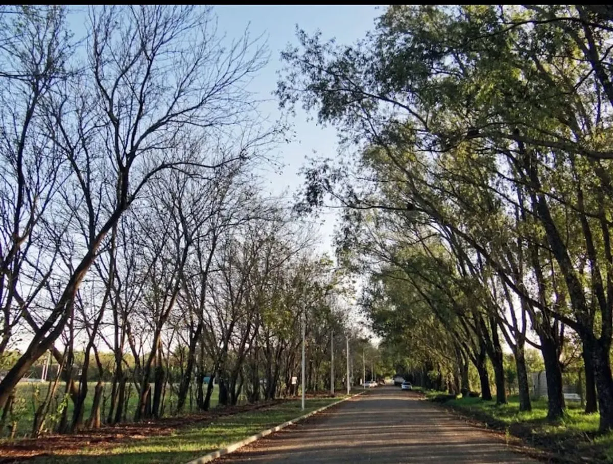 Lote en Boulevard Nestor de Iriondo S/N