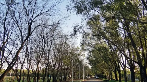 Lote en Boulevard Nestor de Iriondo S/N