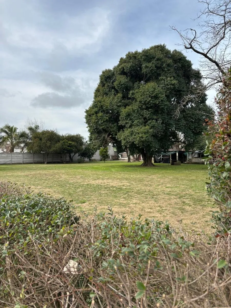 Lote en Calle 24 (ex Hipólito Irigoyen) Entre 135 y 139 Navarro S/N