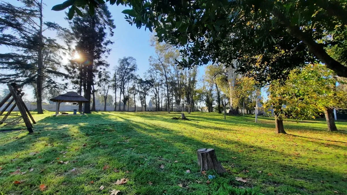 Lote en General Viamonte 1700