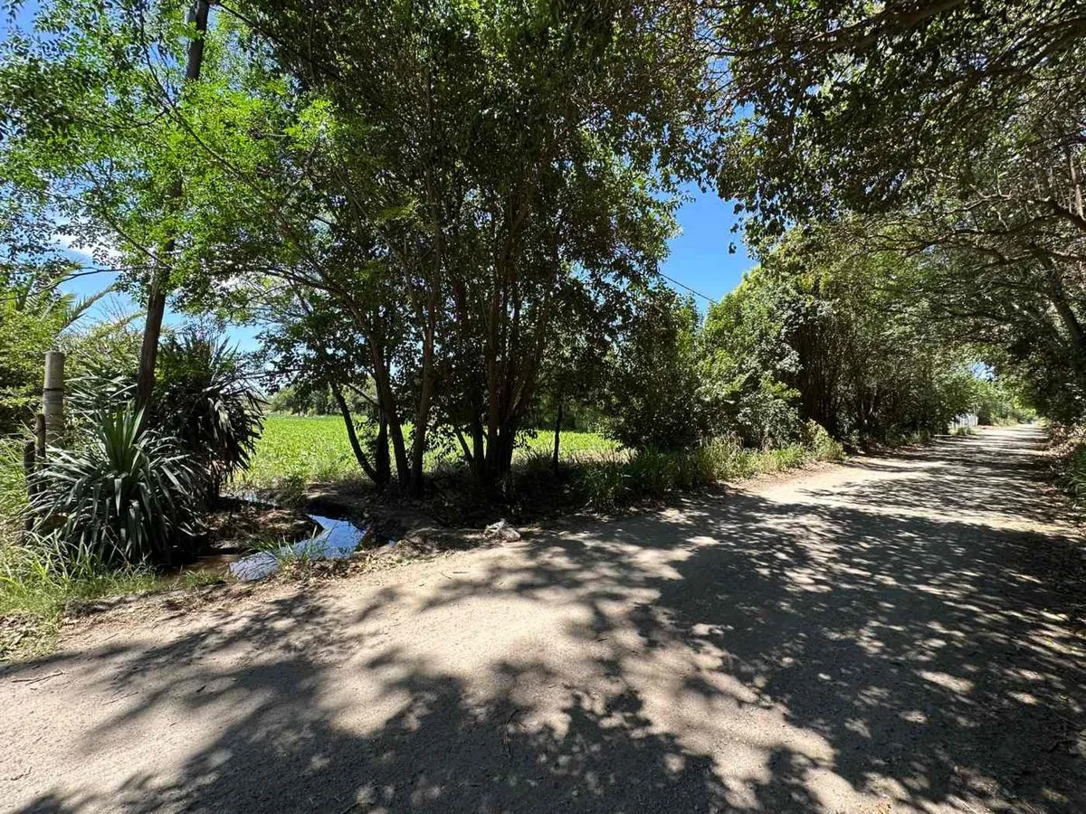 Lote en Agustín Paolucci 1200