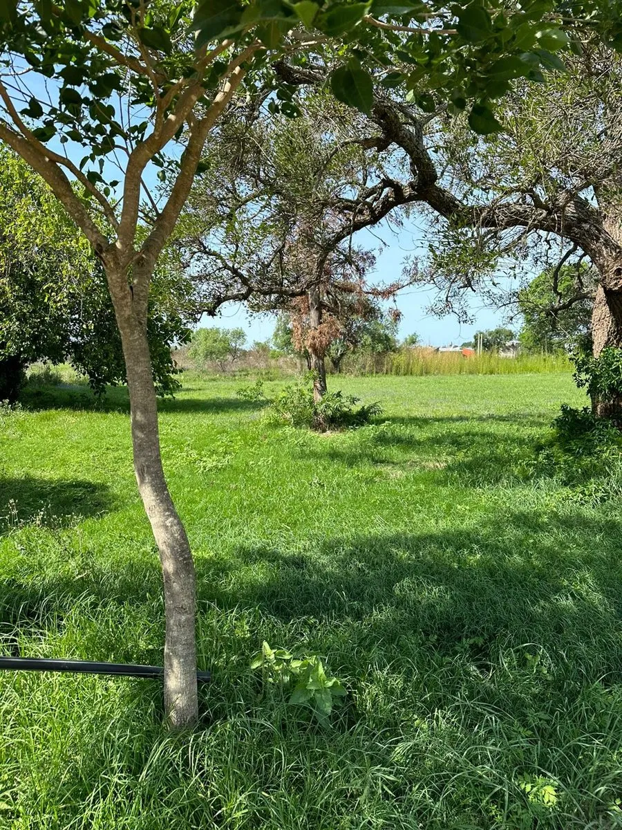 Lote en Avenida de los Inmigrantes S/N
