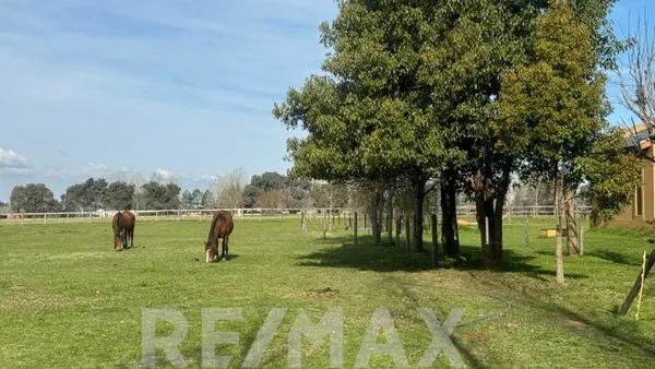 Lote en Ruta 8- Km 84.300 S/N