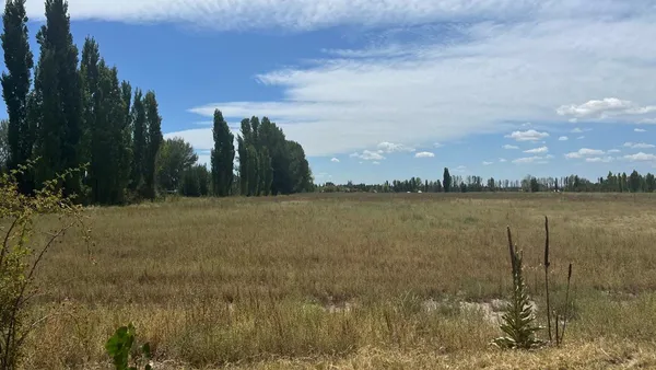 Lote en Del Campo S/n S/N