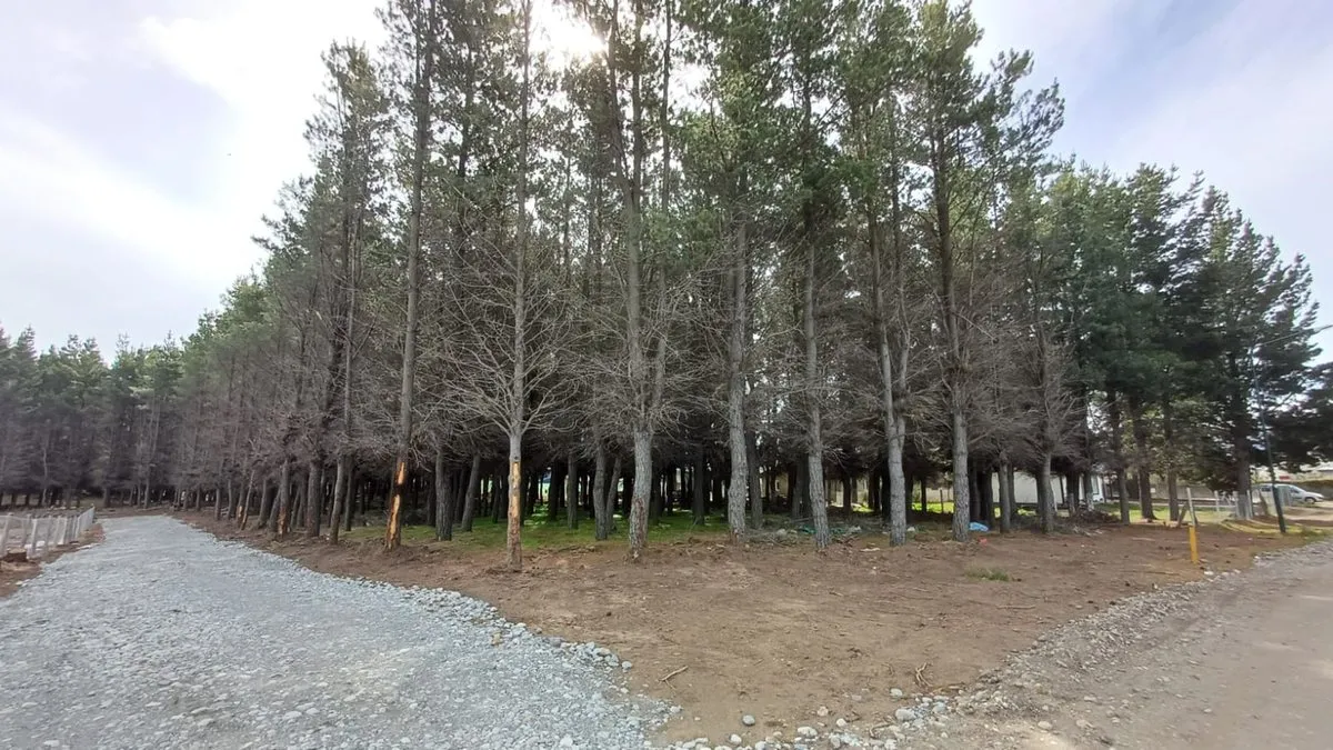 Lote en Los Pinos 500