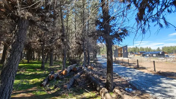Lote en Los Pinos 500