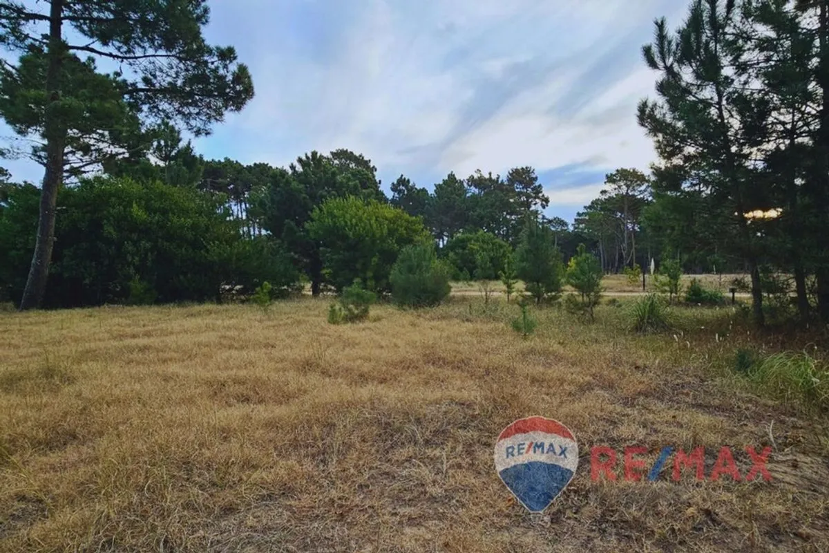 Lote en Avenida del Olimpo S/N