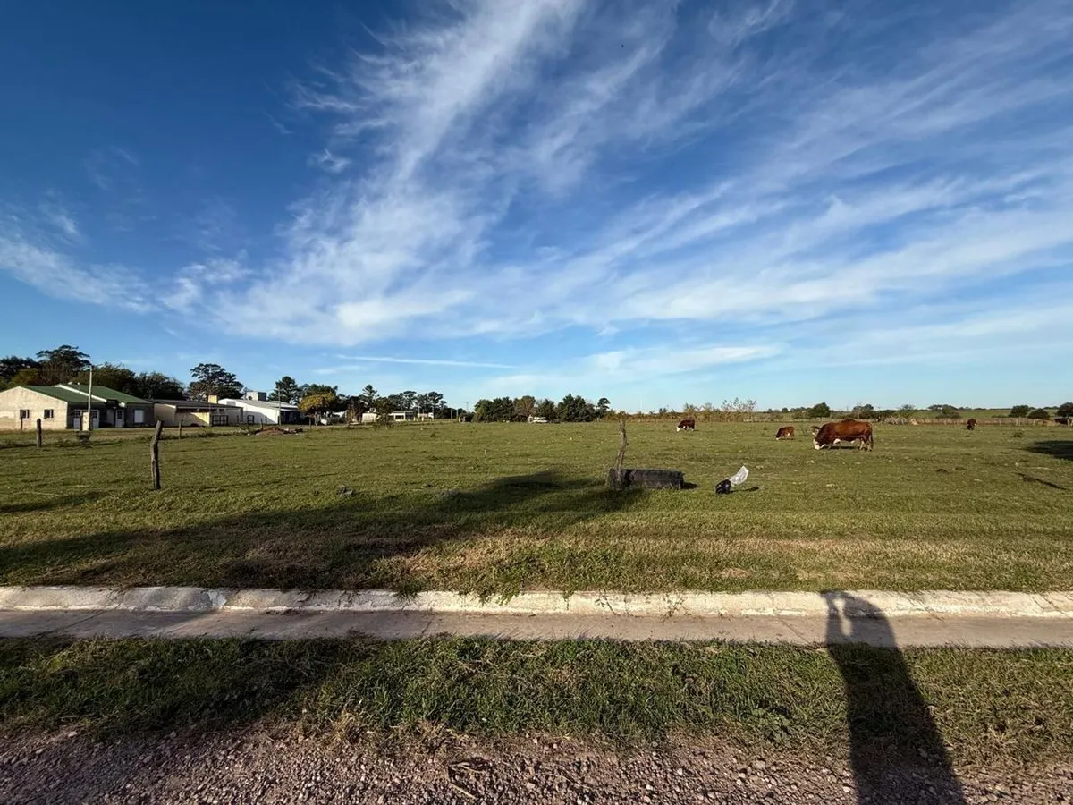 Lote en Uspallata y Cerro Catedral S/N