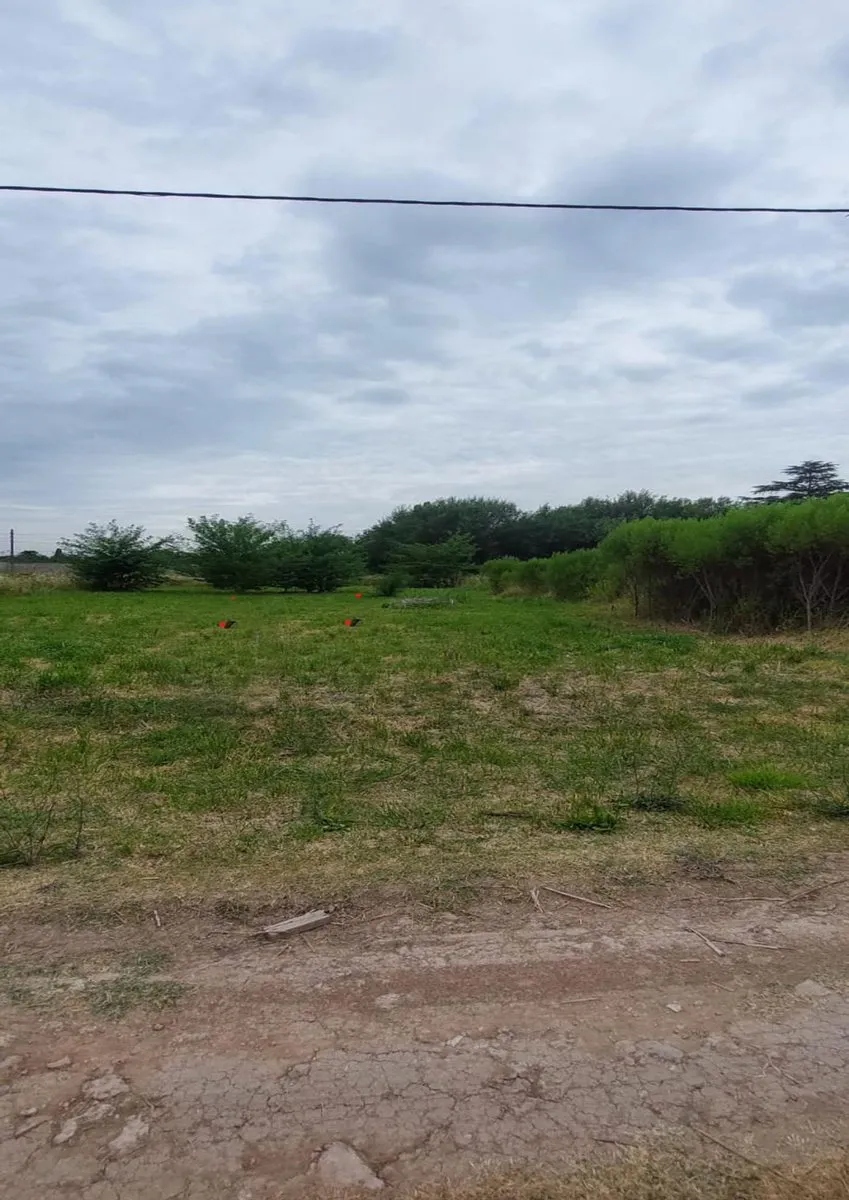 Lote en Reyna Mora y Pechito Colorado S/N