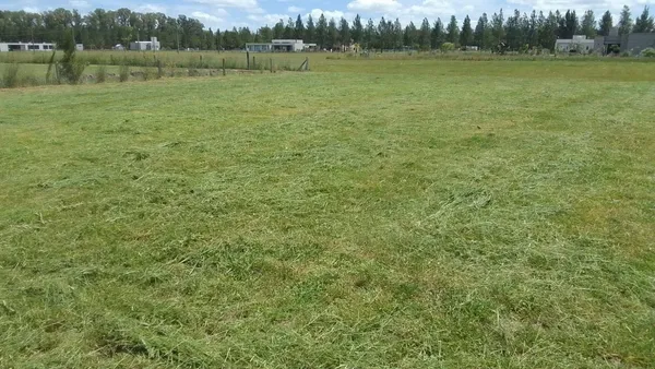 Lote en Campo de Roca Ll S/N