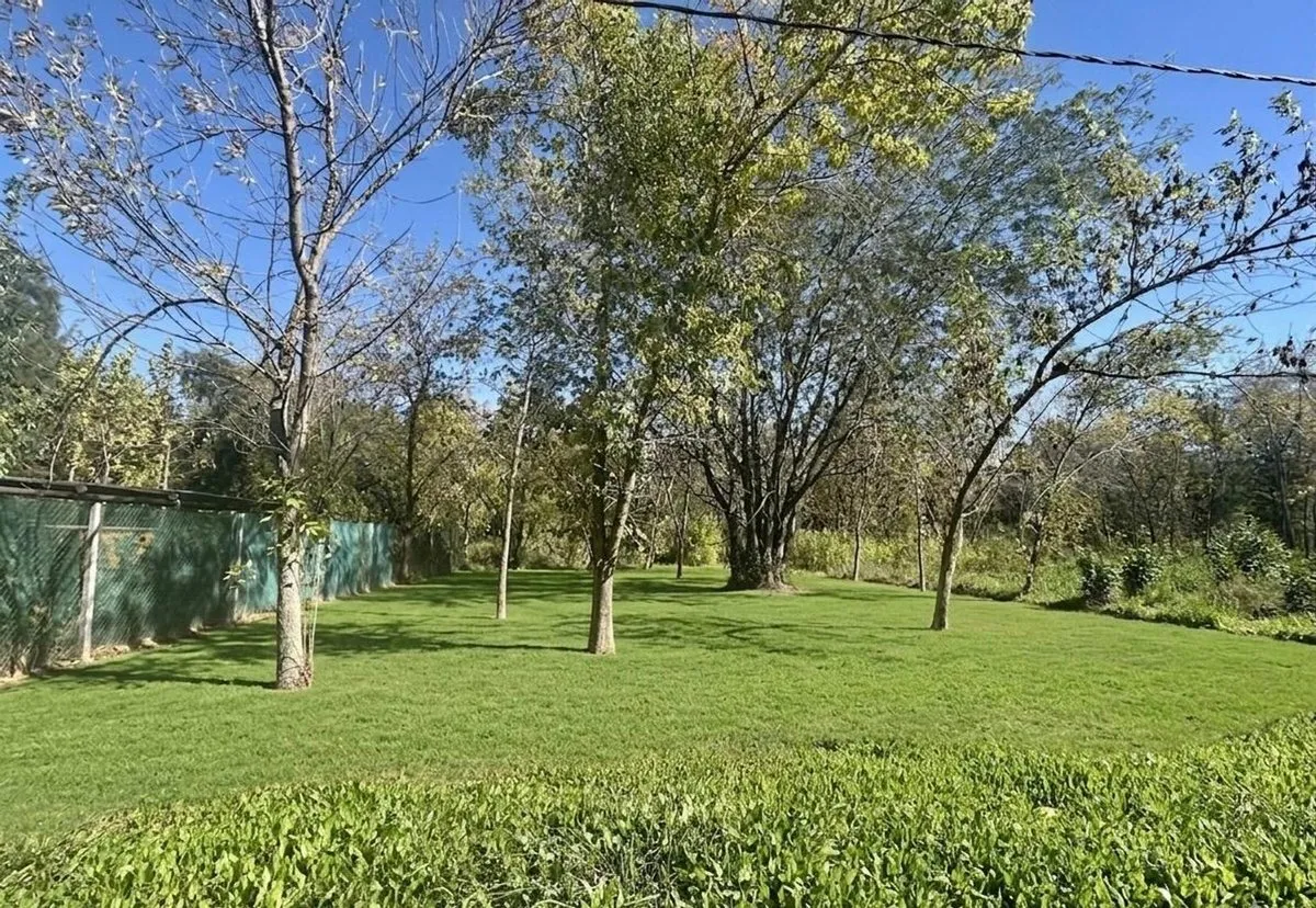 Lote en Calle Desconocida S/N